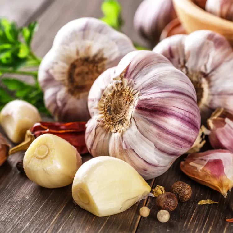 Imagen principal del producto