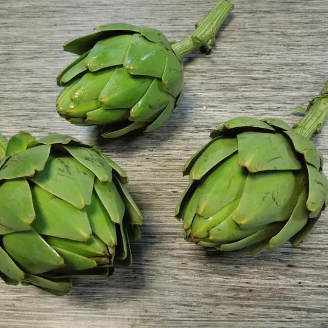 Imagen principal del producto