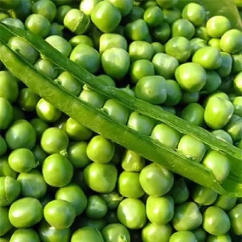 Imagen de Arveja Verde