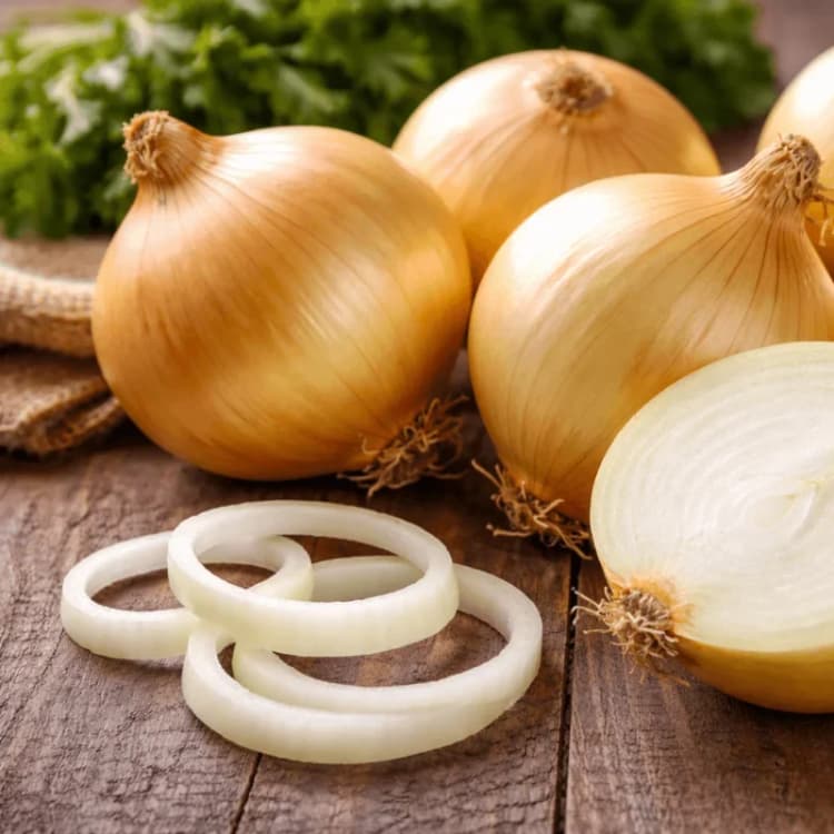 Imagen principal del producto