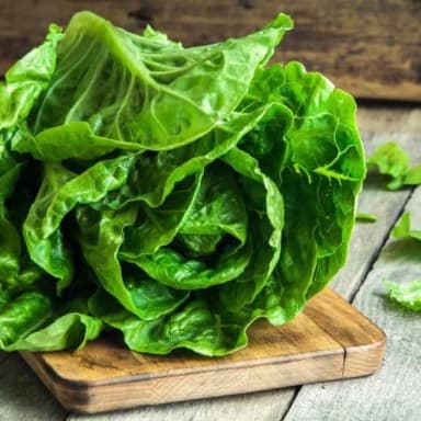 Imagen de Lechuga