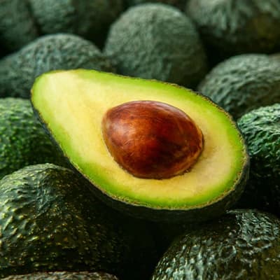 Imagen de Palta