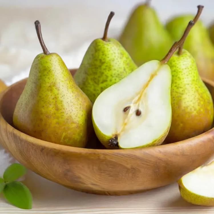 Imagen principal del producto