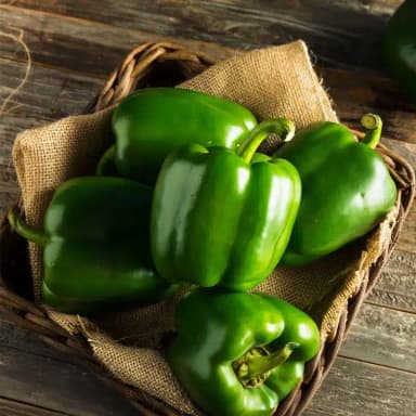 Imagen de Pimiento