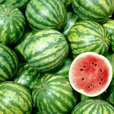 Imagen de Sandia