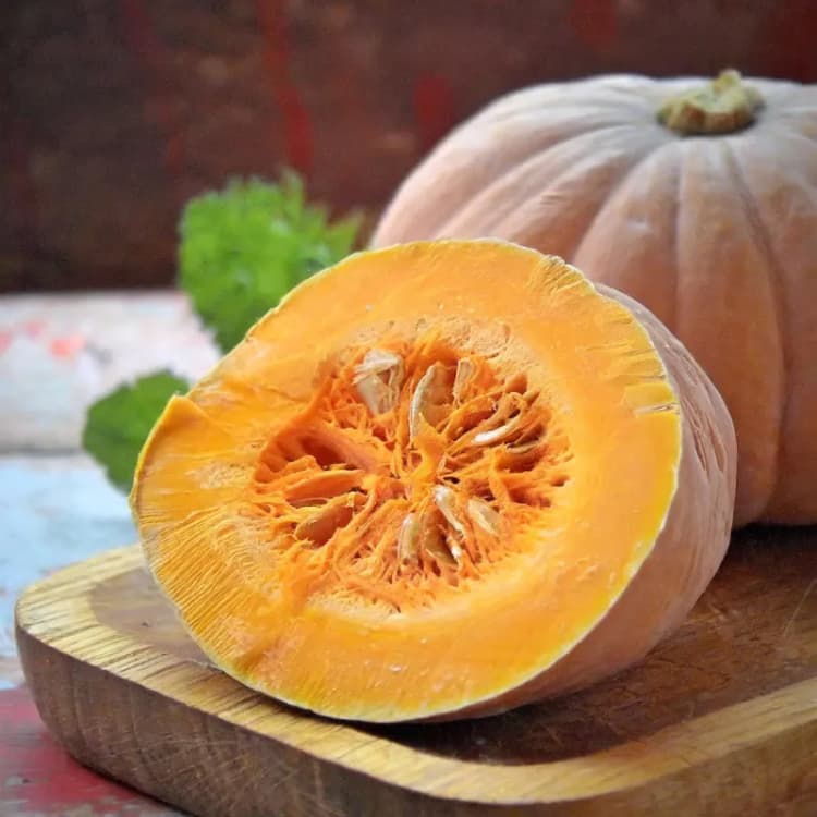 Imagen principal del producto